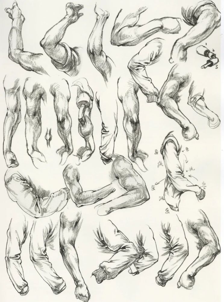 速写局部之上肢下肢的刻画