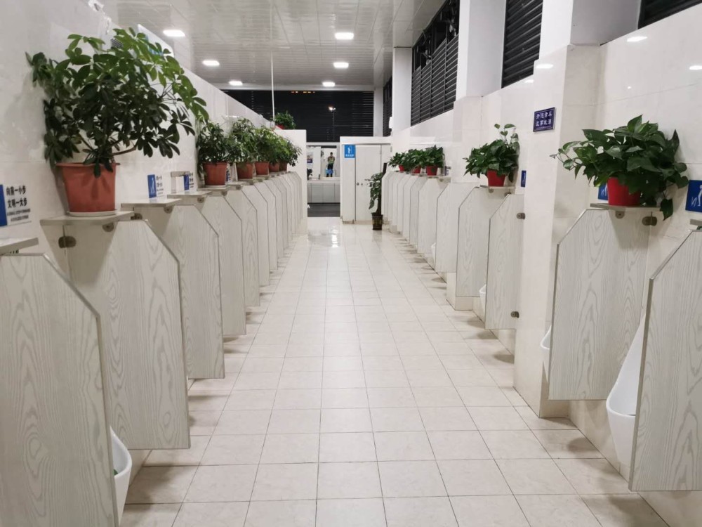 厕所总有"内味儿"?广东这个高速服务区能自动"捕味净化"