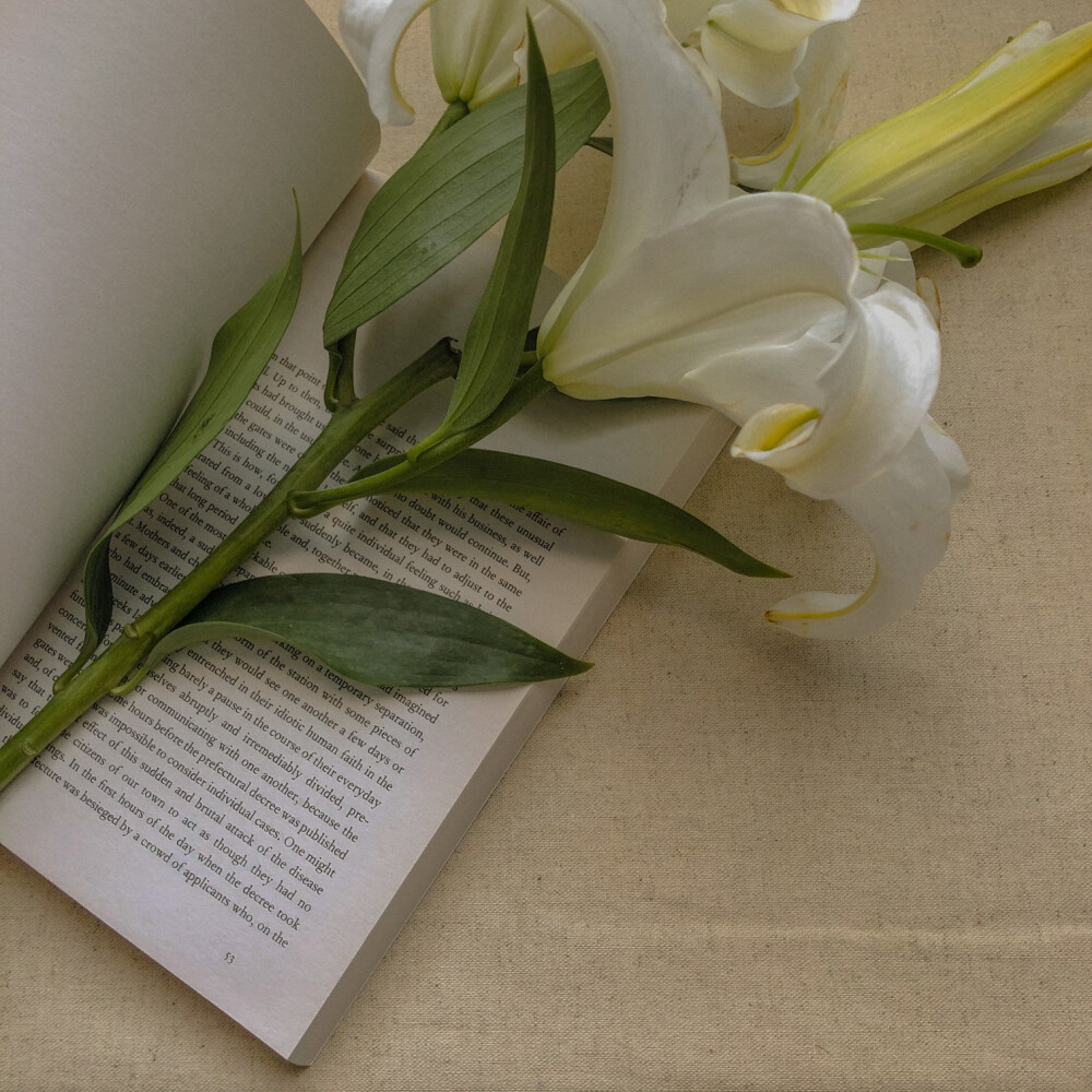 但男生并没有女生那么感性,在每一段情感中,每个恋人在最初的感受都是