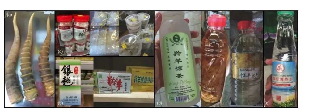 消费者|负责任的消费者，力所能及的保护者