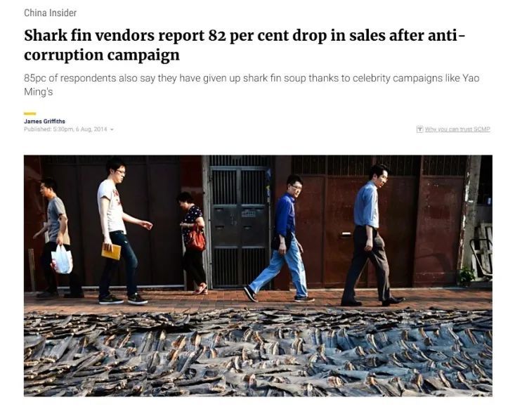 消费者|负责任的消费者，力所能及的保护者
