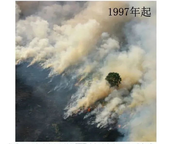 消费者|负责任的消费者，力所能及的保护者