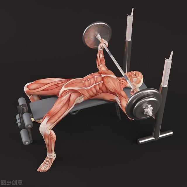 肌肉等张收缩运动图片