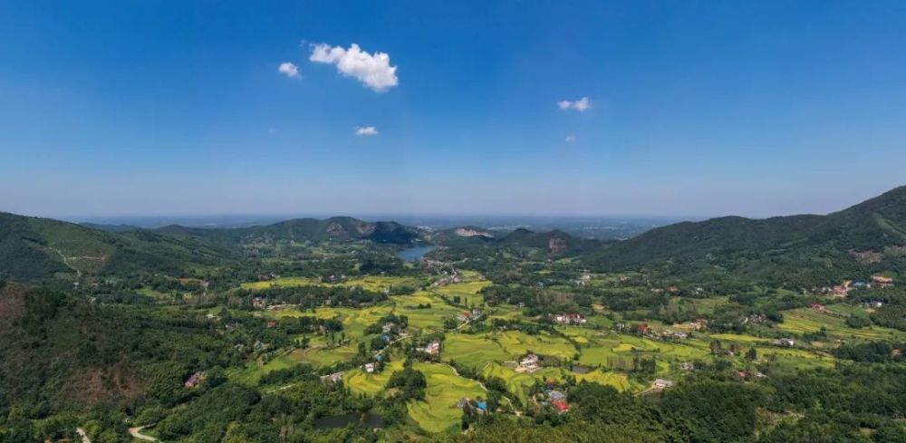 固始县武庙集镇锁口村,一直被固始人称为网红村,一年四季都有来自各地