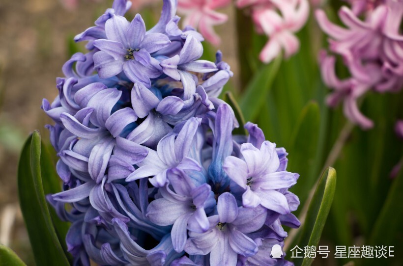 9月4日星座运势迎来好运的四大星座 有你么 腾讯新闻