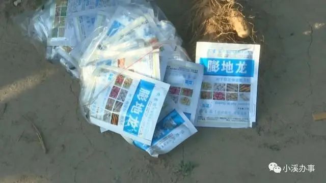菜农|灭顶之灾！这款肥让山东菜农损失超过300万