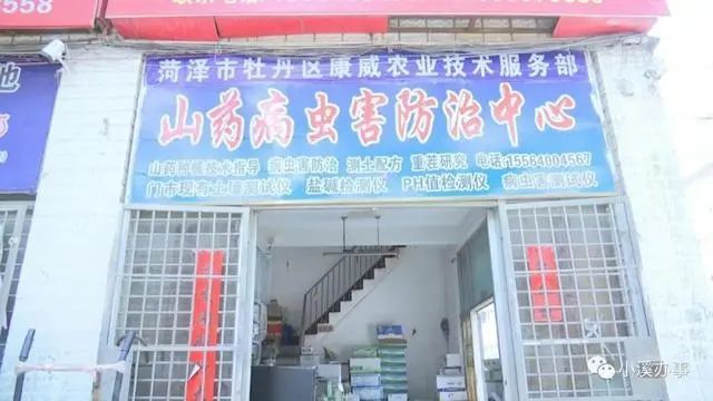 菜农|灭顶之灾！这款肥让山东菜农损失超过300万