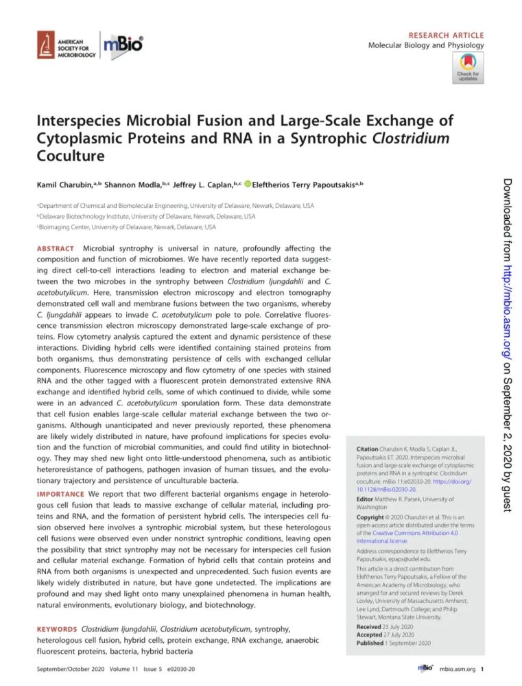 细菌|一个前所未有的新发现——细菌细胞之间在需要的时候也可以融合