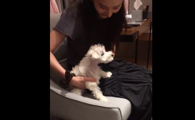 邓超元|娱乐圈的异性越亲密，越是友情？