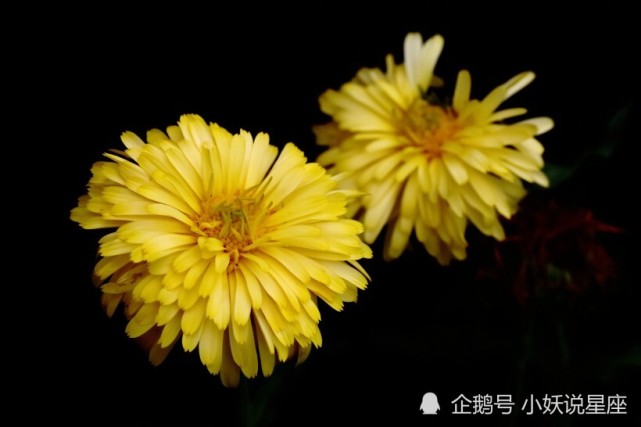 9月4日星座运势开始好转的四大星座 有你么 巨蟹座 射手座 星座运势 星座 水瓶座 天秤座