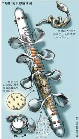 ufo|俄宇航员在空间站拍到UFO？UFO真的存在吗？