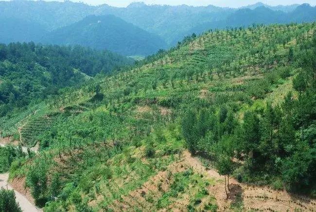 大地资源高清在线观看免费（大地资源高清在线观看免费高清）