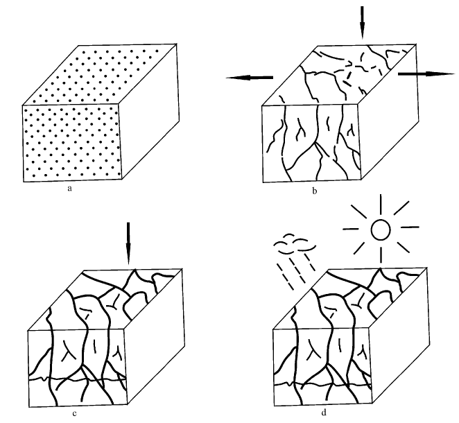 碳酸盐|灰岩上长出了乌龟壳？