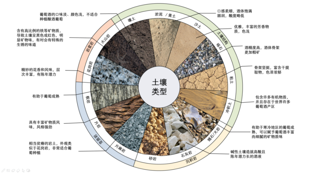 土壤对葡萄酒风味到底有没有影响?