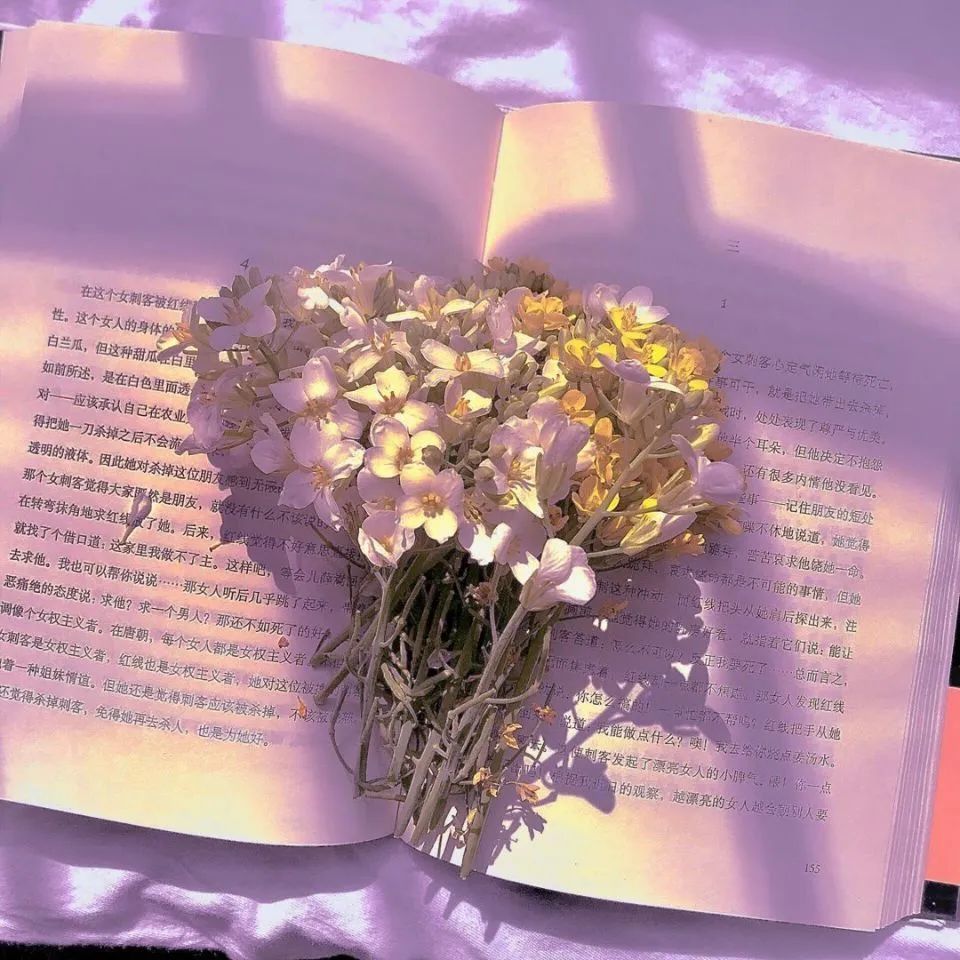 文案‖写在书签上的温柔句子