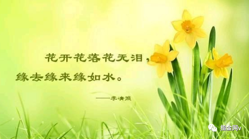 缘来缘去缘如水,花开花落终成空