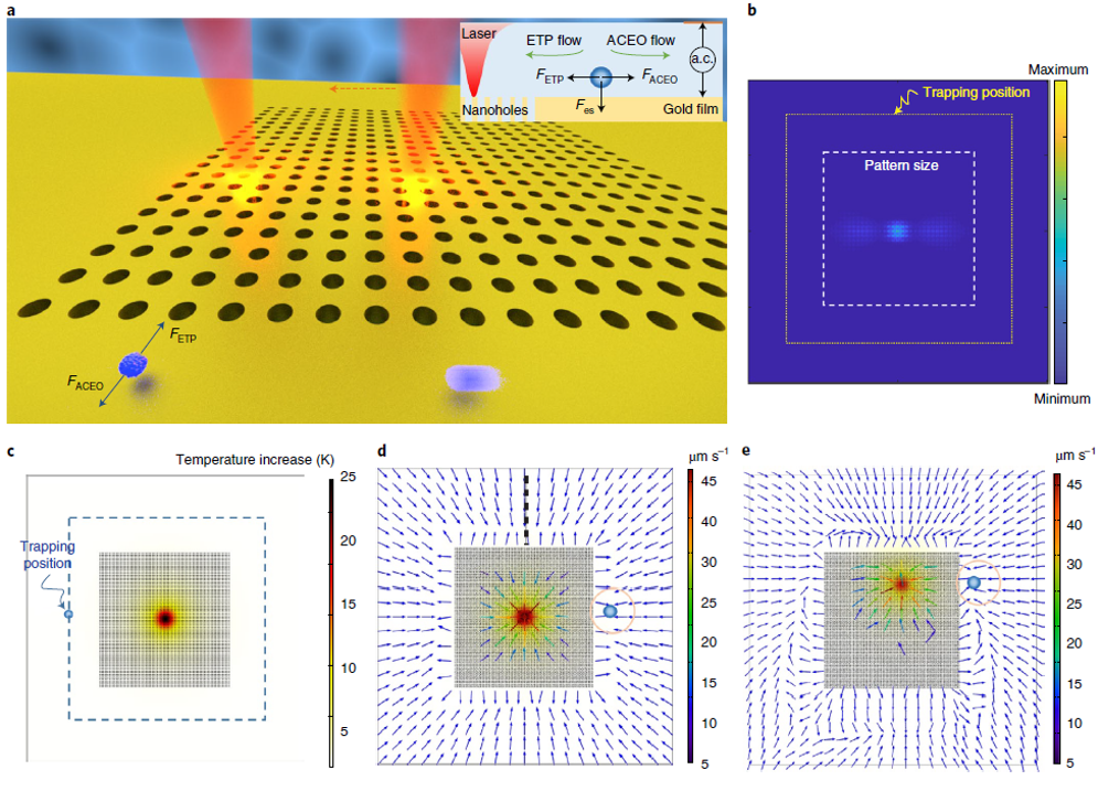 光镊|神操作！一把“镊子”，皆是顶刊！诺奖之后，又有新突破！