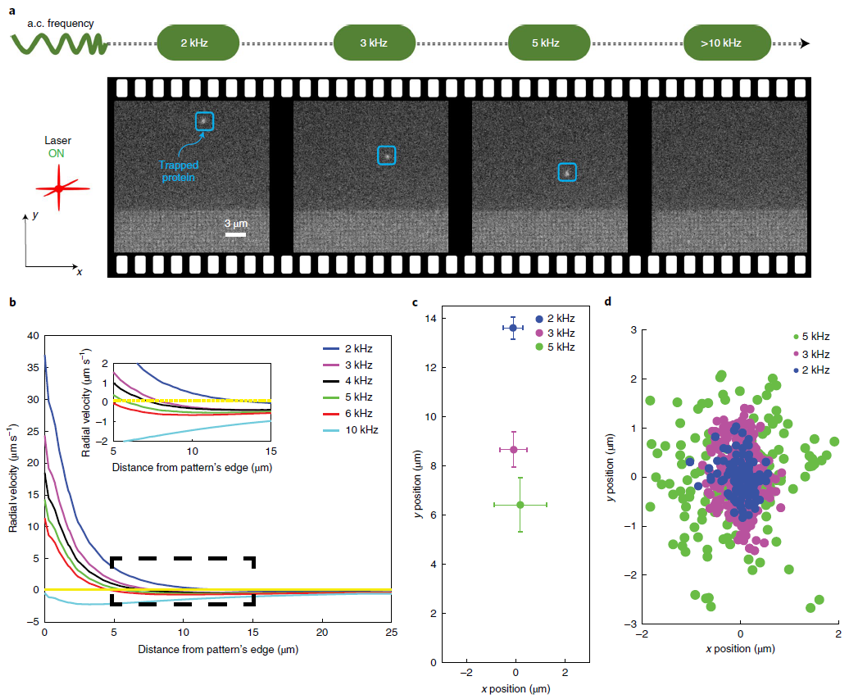 光镊|神操作！一把“镊子”，皆是顶刊！诺奖之后，又有新突破！