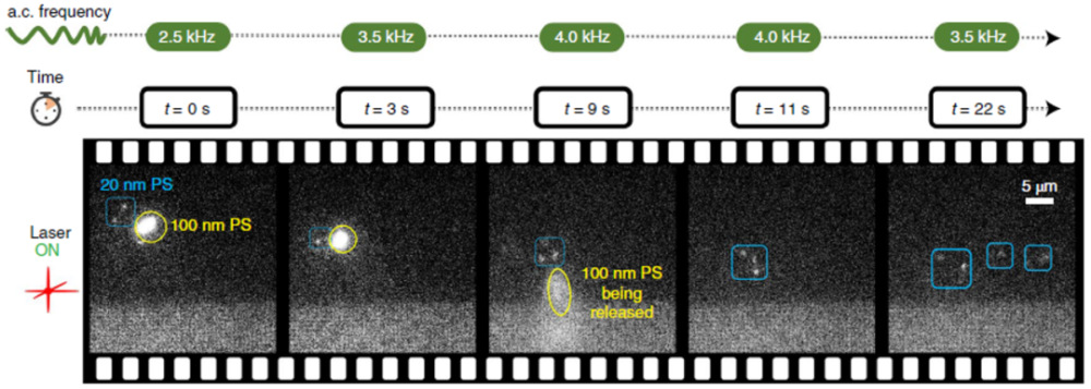 光镊|神操作！一把“镊子”，皆是顶刊！诺奖之后，又有新突破！