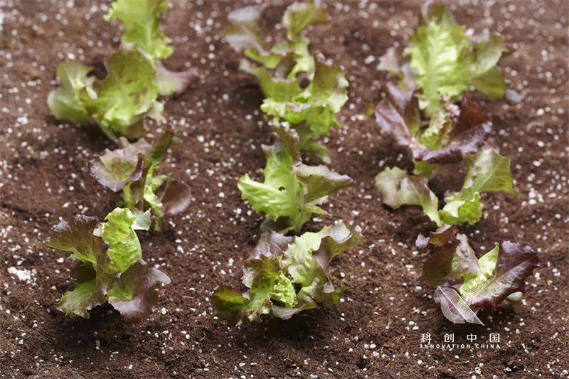 高分子|刷屏的“散装卫生巾”，和这种材料有关