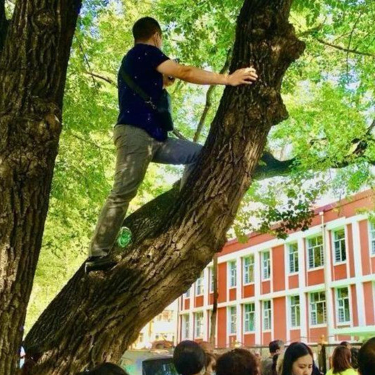 开学了，父母别忘了做好这几点