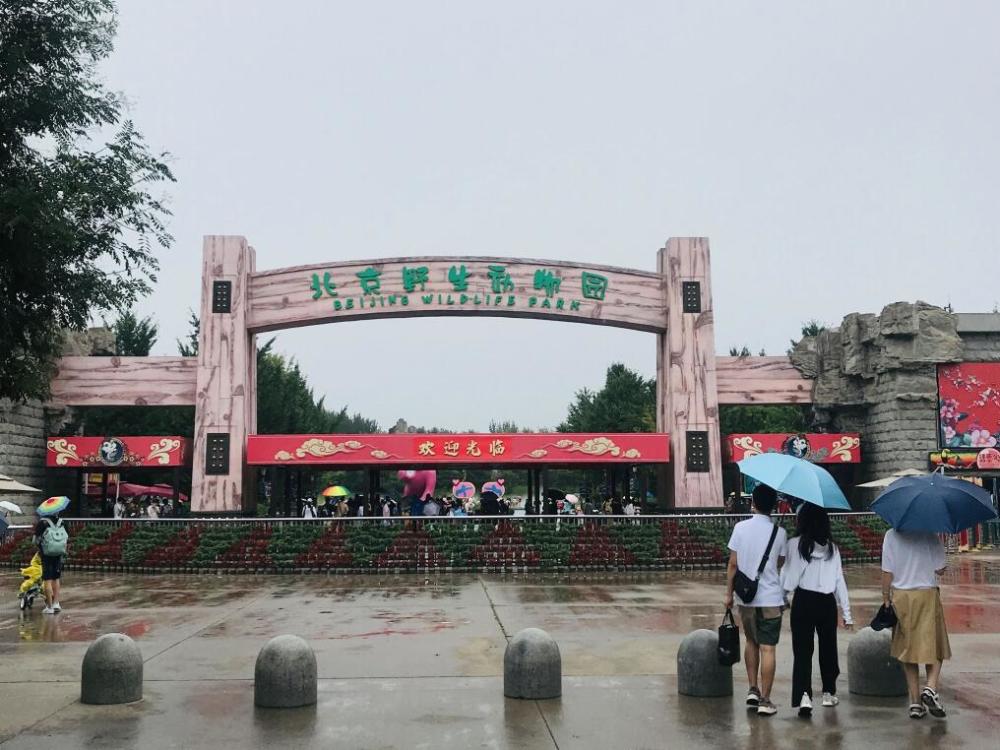 北京野生动物园|北京野生动物园一日游玩