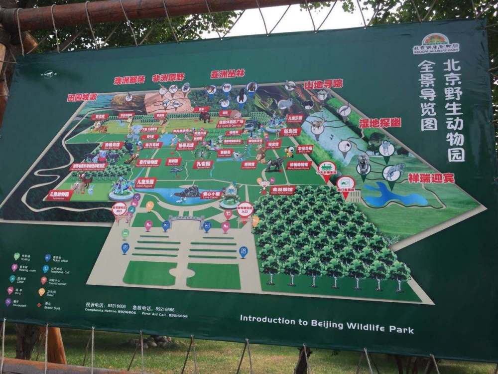 北京野生动物园|北京野生动物园一日游玩