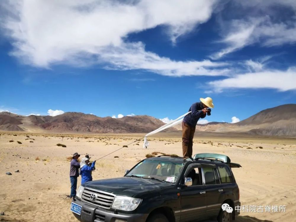 青藏高原|青藏高原上的发掘