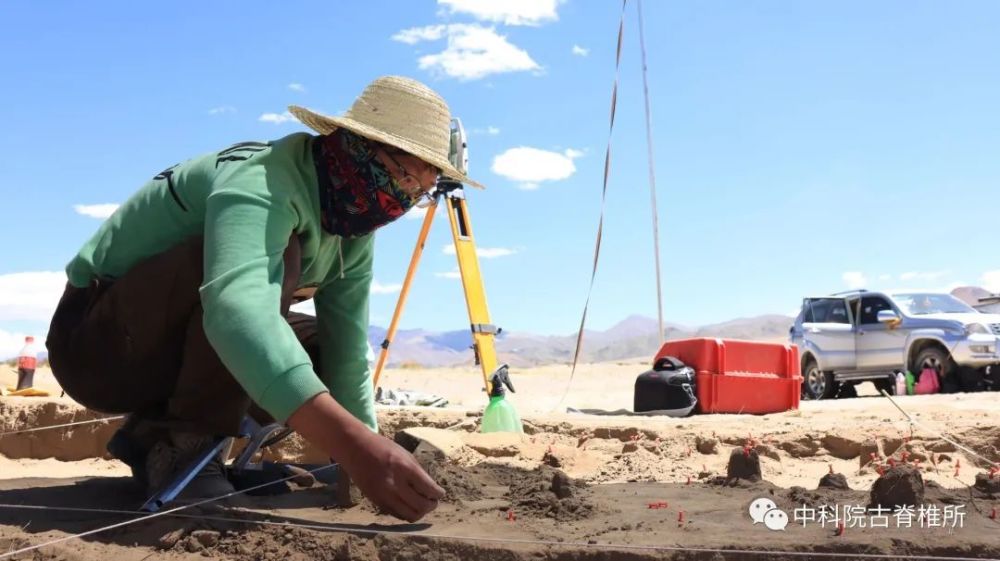 青藏高原|青藏高原上的发掘