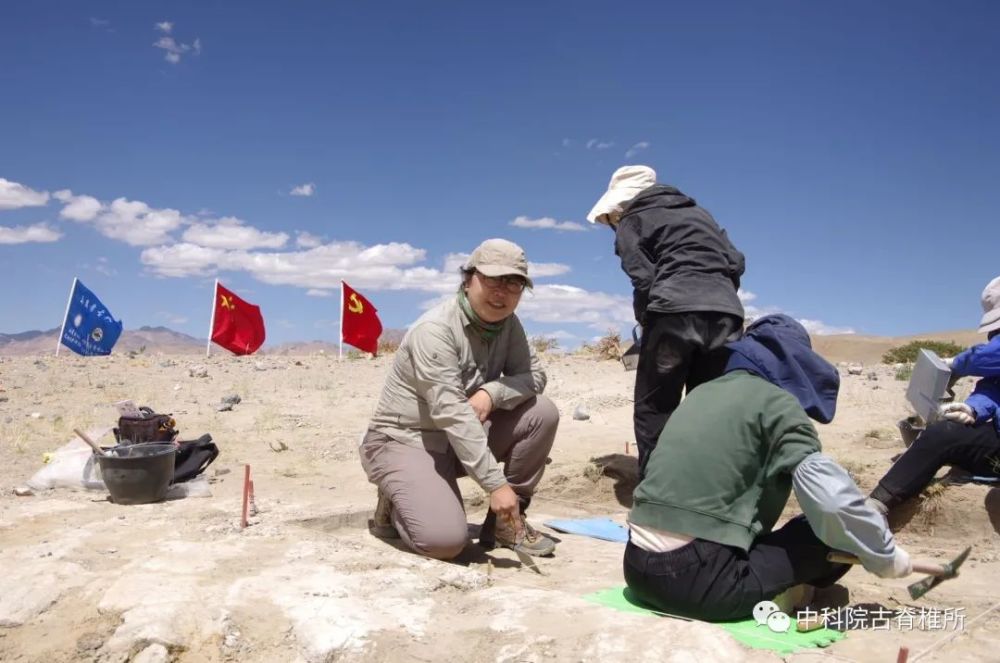 青藏高原|青藏高原上的发掘