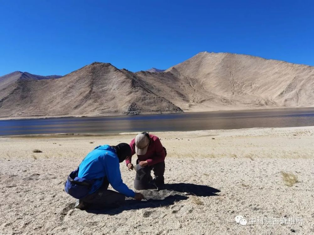 青藏高原|青藏高原上的发掘