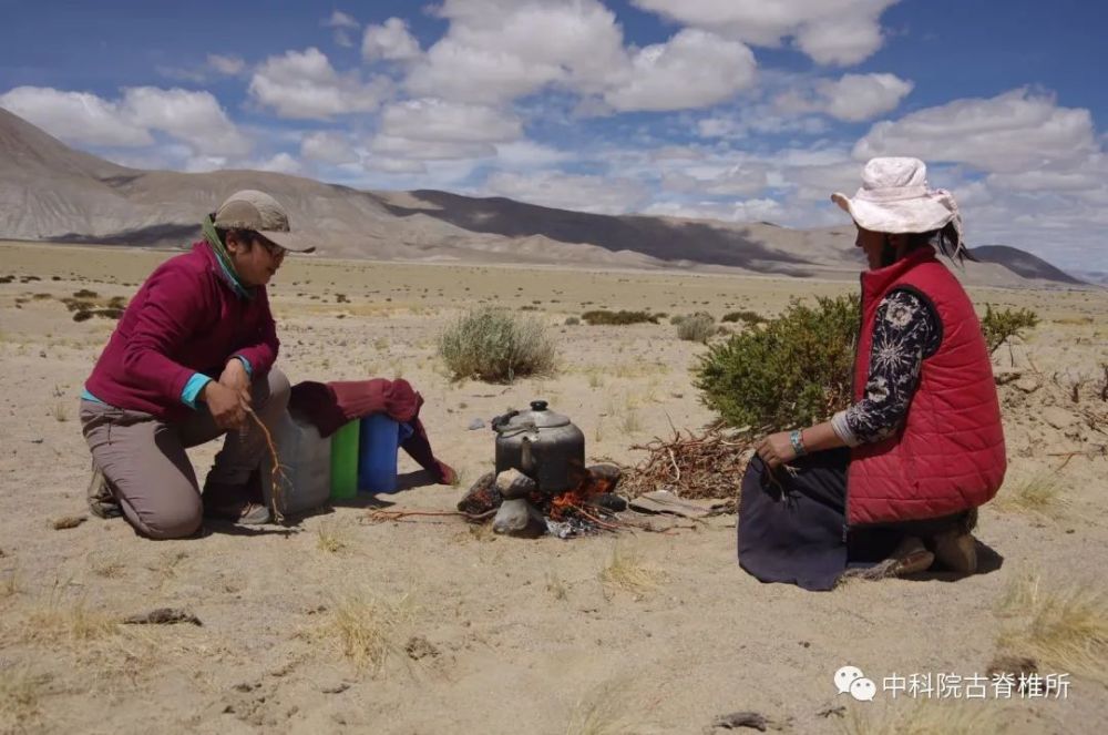 青藏高原|青藏高原上的发掘
