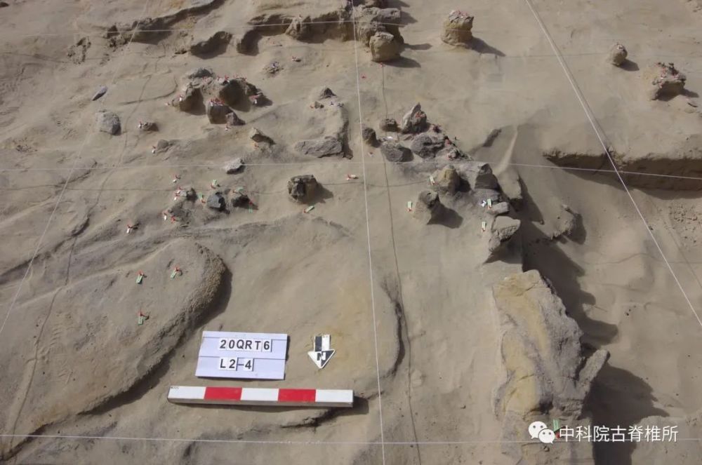 青藏高原|青藏高原上的发掘