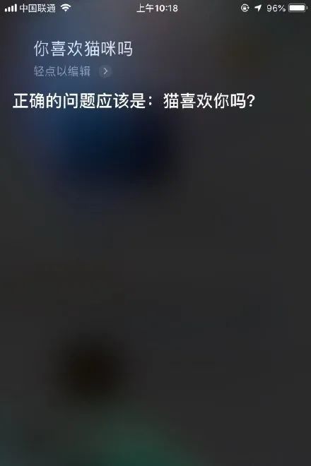 猫咪成精了拿着手机跟siri对话一整晚