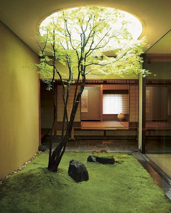 不是我崇洋媚外 日本室内外 1 也能搞个小庭院 怎么看都不腻 庭院 竹子