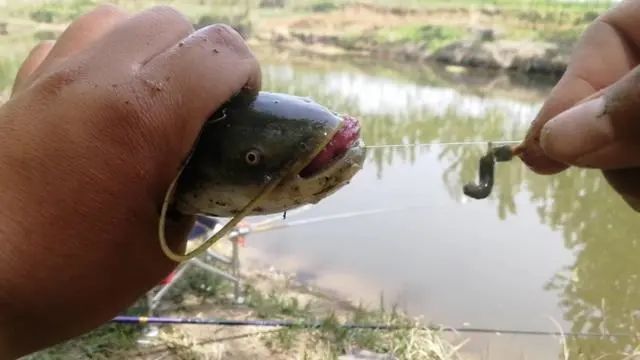 钓鱼技巧重铅沉底钓法为何越来越深受老钓友的喜爱