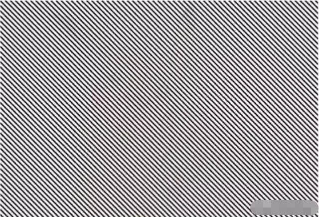 考眼力:4张"眼力测试图",专家说能全找出来的,iq挺高的!