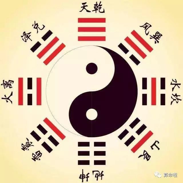 智慧过人的八字