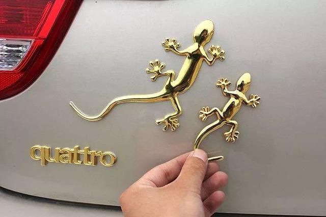 quattro的壁虎标志被无数车主贴在车尾,被当做安全可控的图腾.