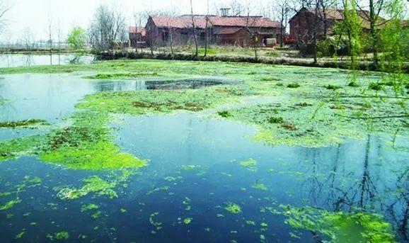 水资源|这个海被预言2020年消失，如今还“活”着，为什么？