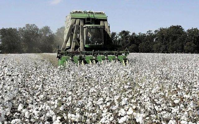 水资源|这个海被预言2020年消失，如今还“活”着，为什么？