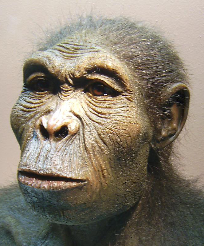 史前人类之谜,10万年前到底发生了什么?
