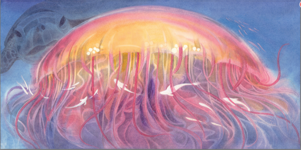 动物来信|儿童文学作家常立老师，收到了一摞动物的来信