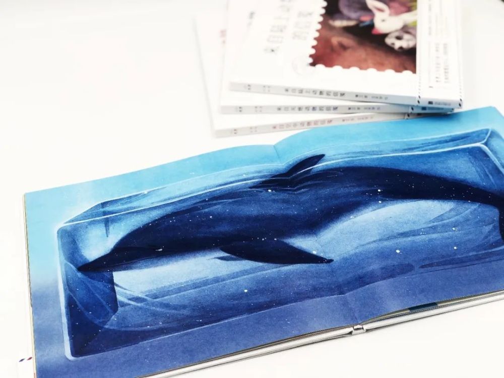 动物来信|儿童文学作家常立老师，收到了一摞动物的来信