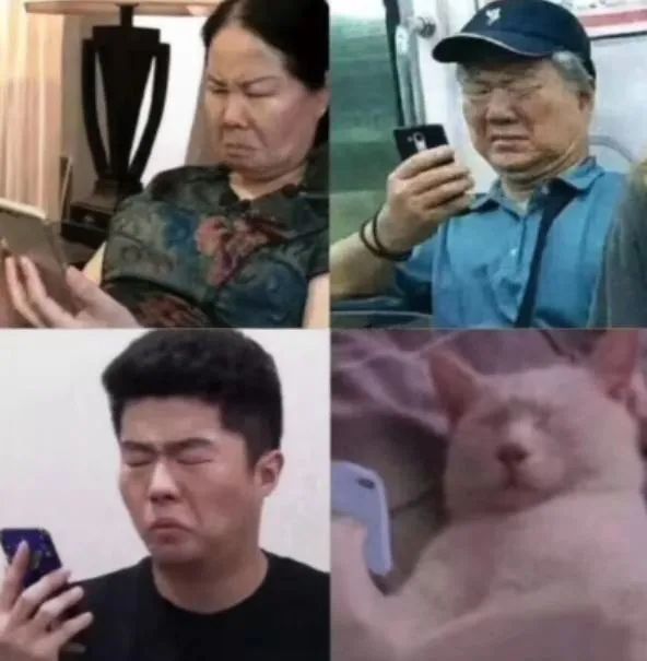 德云社团|装傻抖机灵？德云社团综不讨喜的还是他