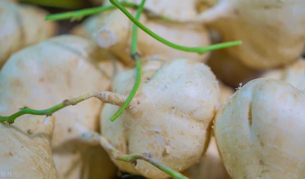 水果还能长在地下?市场供不应求,滞销农户"坐不住"了