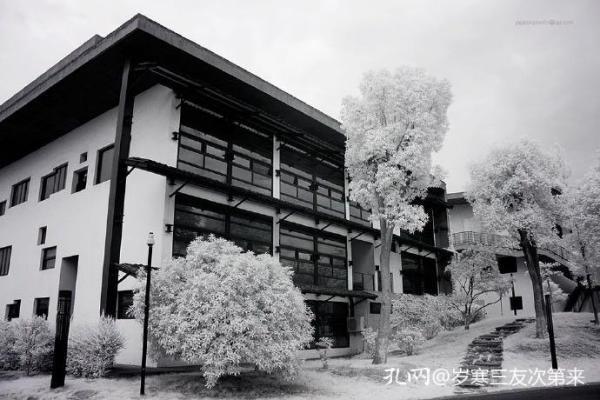 中国美术学院|建筑是凝固的音乐——中国美术学院象山校区