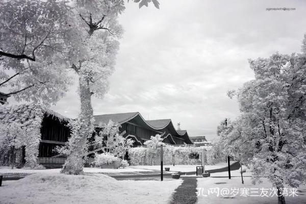 中国美术学院|建筑是凝固的音乐——中国美术学院象山校区