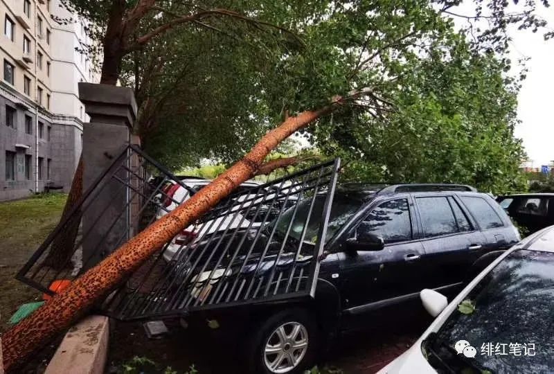 台风|究竟是谁捅破了“风眼”？“海神”或成历史级别的超级台风