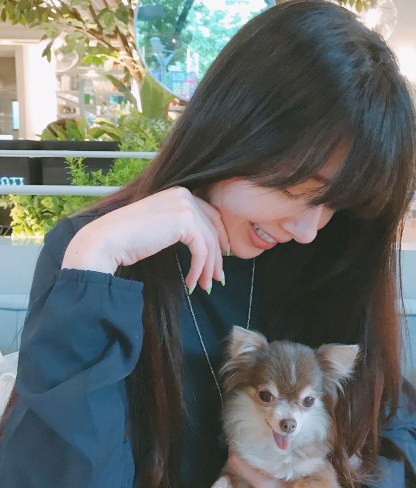 郭爸|郭碧婷被指已经平安生产？郭爸直接回应：明明就是狗玩具，这都能编也是醉了